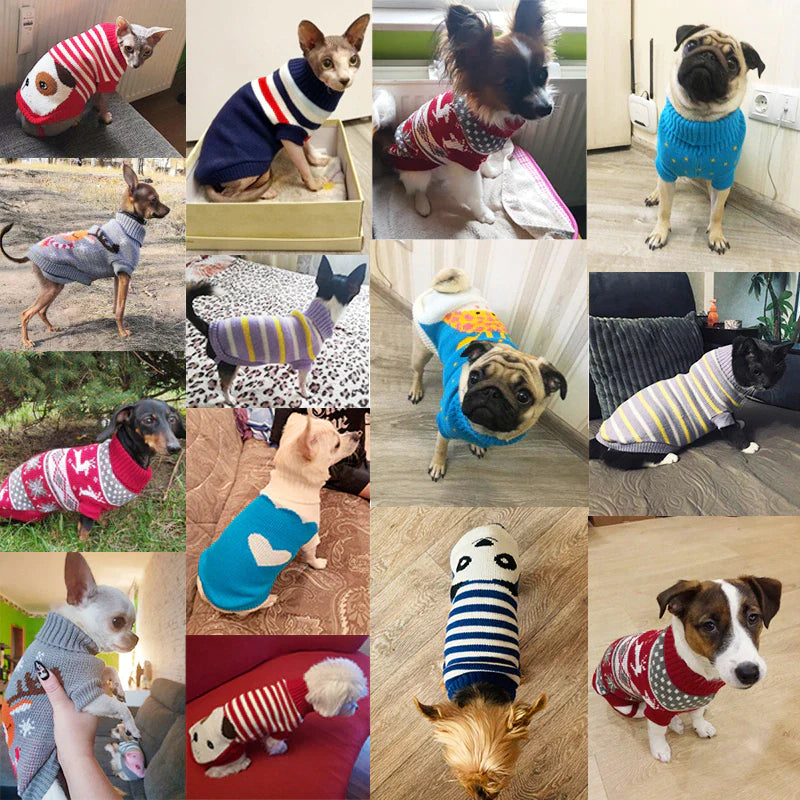 Warm Dog Clothes for Small Medium Dogs Knitted Cat Sweater Pet Clothing for Chihuahua Bulldogs Puppy Costume Coat Winter